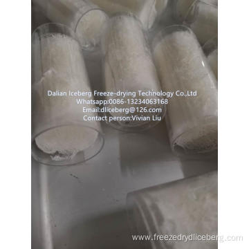 Freeze-drying Cubilose freeze dryer.